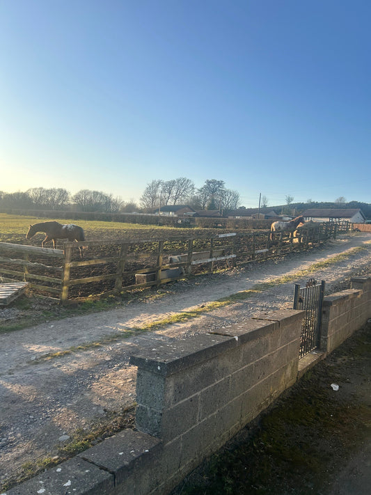 RuralGuard Defender 360 protecting Coneypark Farm
