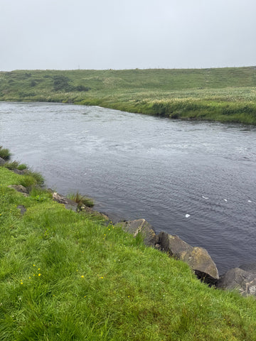 How to Tell if a Salmon River Is Fishable