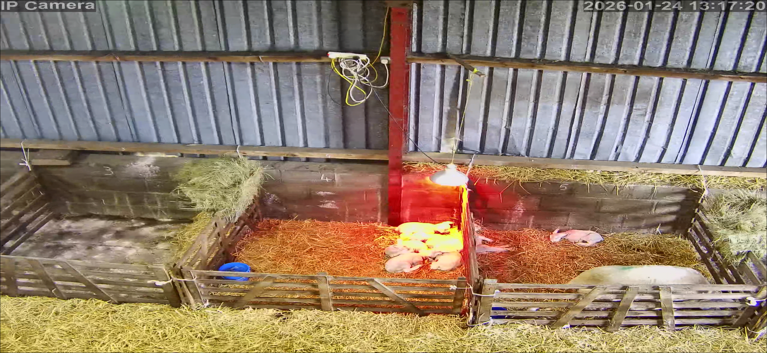 36X Zoom Birth Check