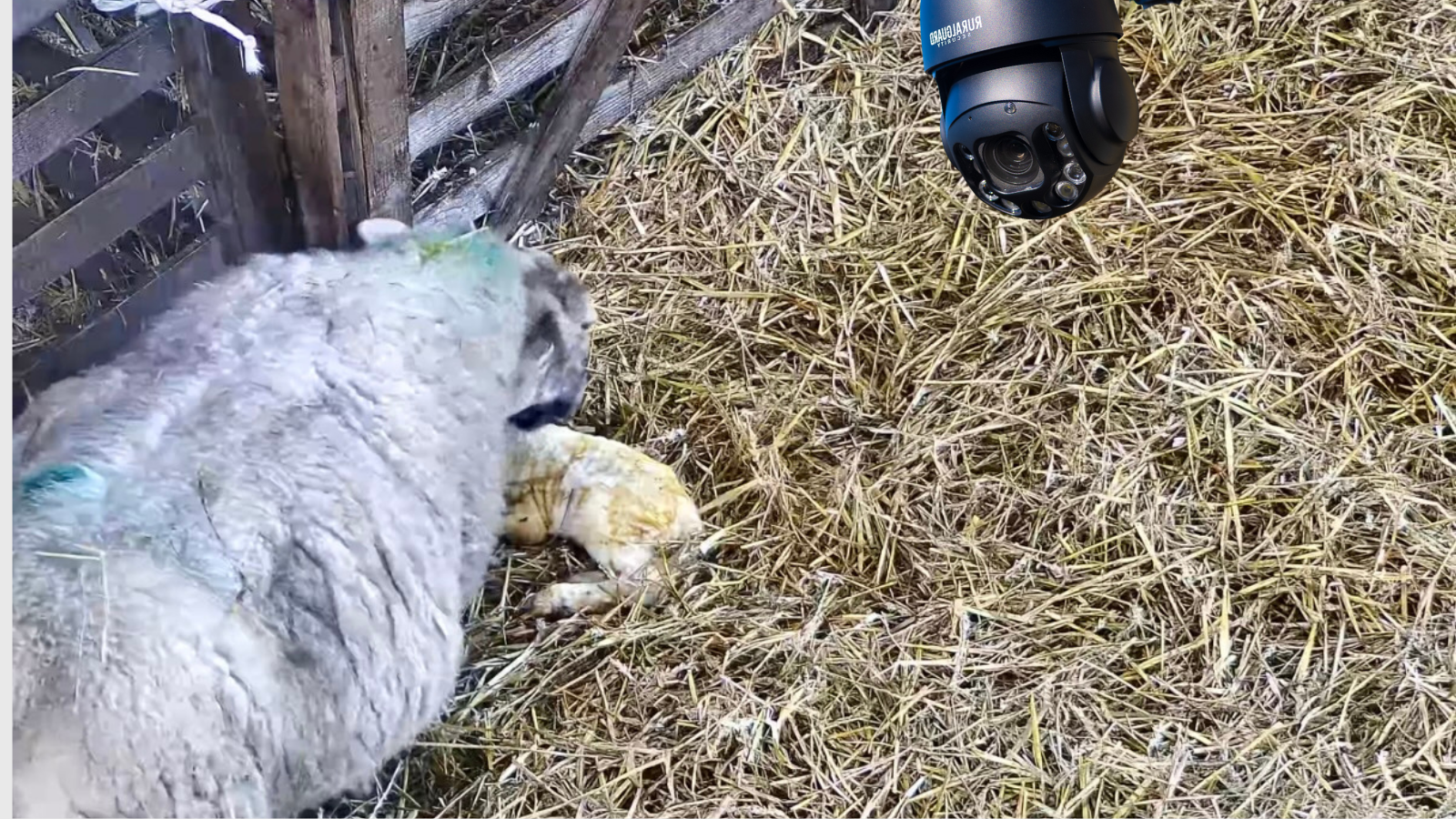 slider image slider_item_KMMtyz